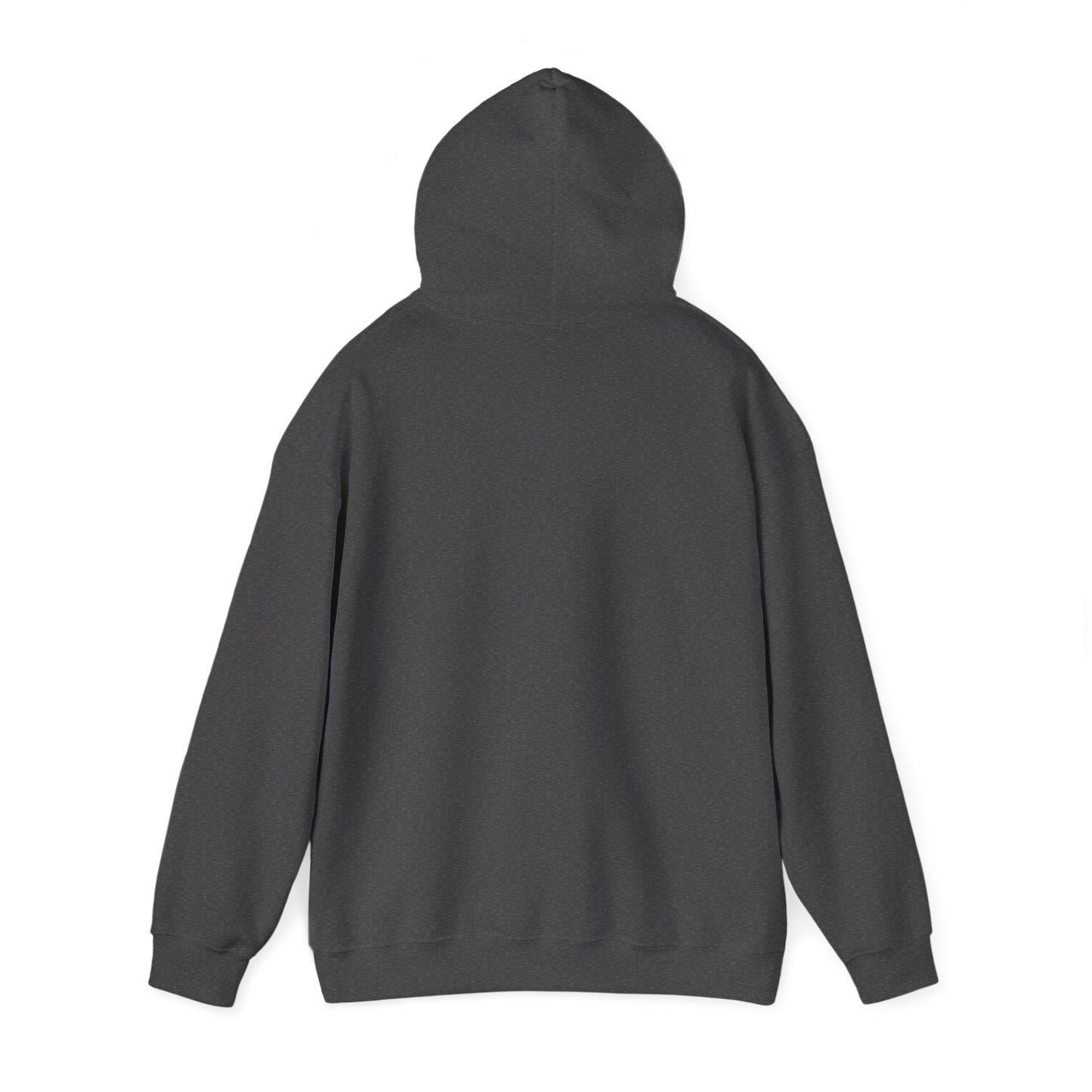 Graphic Hoodie — Gothic Crest Design with ‘Stay Wild’ Text